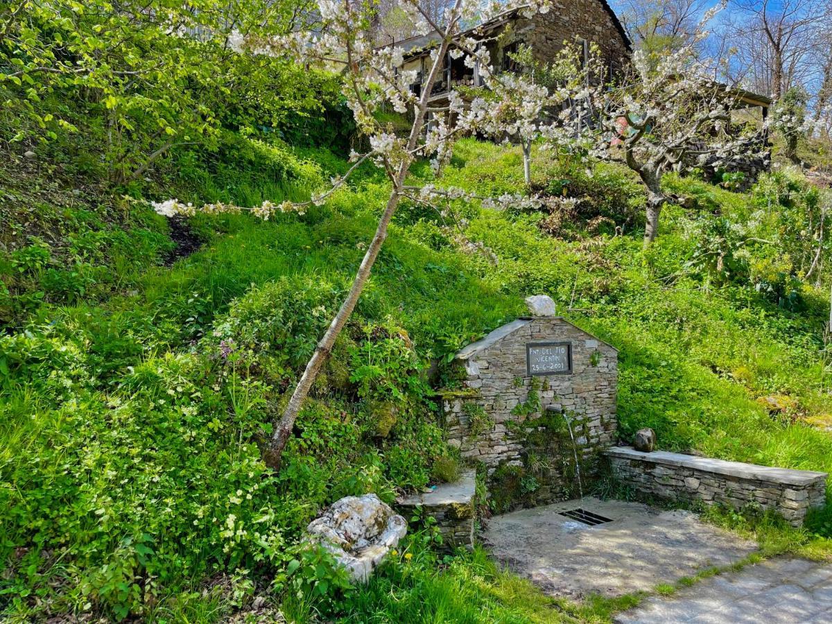 Casa Folibar - Desconexion En Plena Naturaleza - Valle Del Silencio Мансанедо-де-Вальдуэса Экстерьер фото